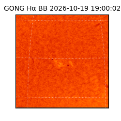gong - 2026-10-19T19:00:02