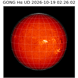 gong - 2026-10-19T02:26:02