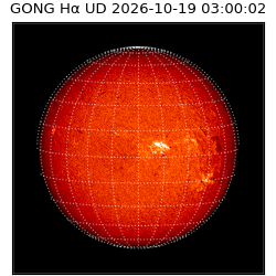 gong - 2026-10-19T03:00:02