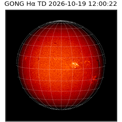 gong - 2026-10-19T12:00:22