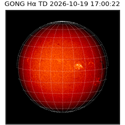 gong - 2026-10-19T17:00:22