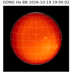 gong - 2026-10-19T19:00:02