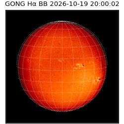 gong - 2026-10-19T20:00:02