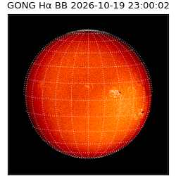 gong - 2026-10-19T23:00:02