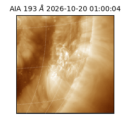 saia - 2026-10-20T01:00:04.842000
