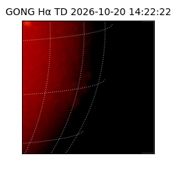 gong - 2026-10-20T14:22:22