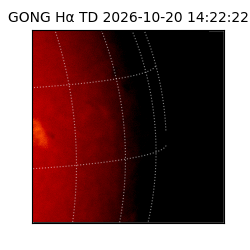 gong - 2026-10-20T14:22:22