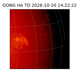 gong - 2026-10-20T14:22:22