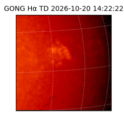 gong - 2026-10-20T14:22:22