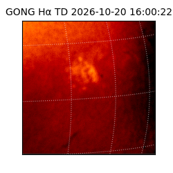 gong - 2026-10-20T16:00:22