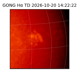 gong - 2026-10-20T14:22:22