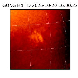 gong - 2026-10-20T16:00:22