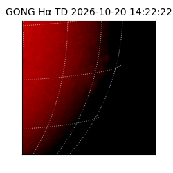 gong - 2026-10-20T14:22:22