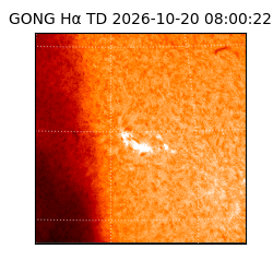 gong - 2026-10-20T08:00:22
