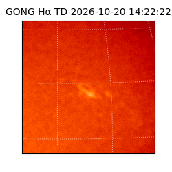 gong - 2026-10-20T14:22:22