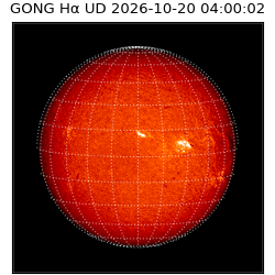 gong - 2026-10-20T04:00:02