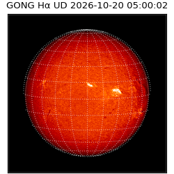 gong - 2026-10-20T05:00:02