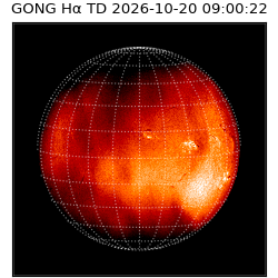 gong - 2026-10-20T09:00:22