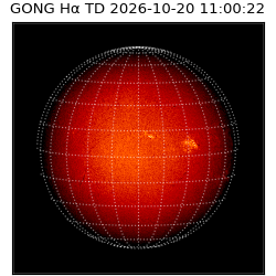 gong - 2026-10-20T11:00:22