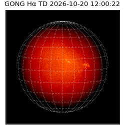 gong - 2026-10-20T12:00:22