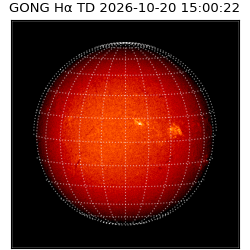 gong - 2026-10-20T15:00:22