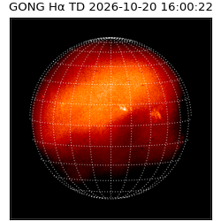 gong - 2026-10-20T16:00:22