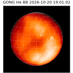 gong - 2026-10-20T19:01:02