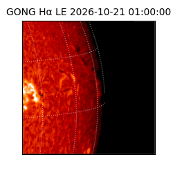 gong - 2026-10-21T01:00:00