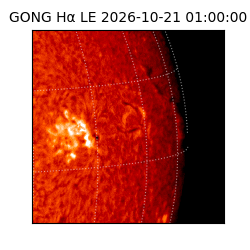 gong - 2026-10-21T01:00:00