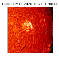 gong - 2026-10-21T01:00:00