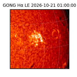 gong - 2026-10-21T01:00:00