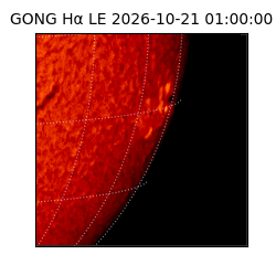 gong - 2026-10-21T01:00:00