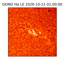gong - 2026-10-21T01:00:00