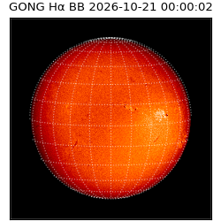 gong - 2026-10-21T00:00:02