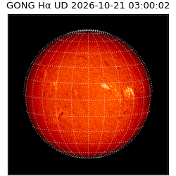 gong - 2026-10-21T03:00:02