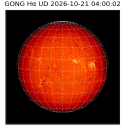 gong - 2026-10-21T04:00:02