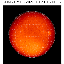 gong - 2026-10-21T16:00:02