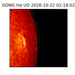 gong - 2026-10-22T02:18:02