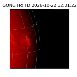 gong - 2026-10-22T12:01:22