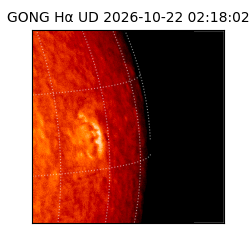 gong - 2026-10-22T02:18:02