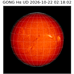 gong - 2026-10-22T02:18:02