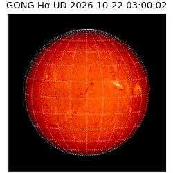 gong - 2026-10-22T03:00:02