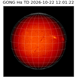 gong - 2026-10-22T12:01:22