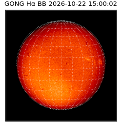 gong - 2026-10-22T15:00:02
