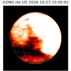 gong - 2026-10-23T10:00:02