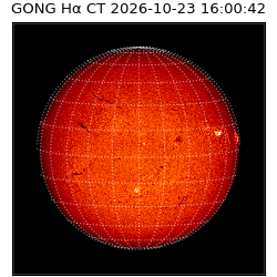 gong - 2026-10-23T16:00:42