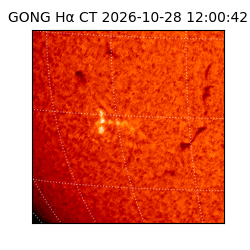 gong - 2026-10-28T12:00:42
