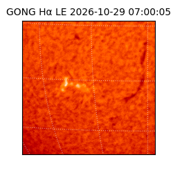 gong - 2026-10-29T07:00:05