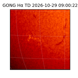 gong - 2026-10-29T09:00:22
