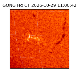 gong - 2026-10-29T11:00:42